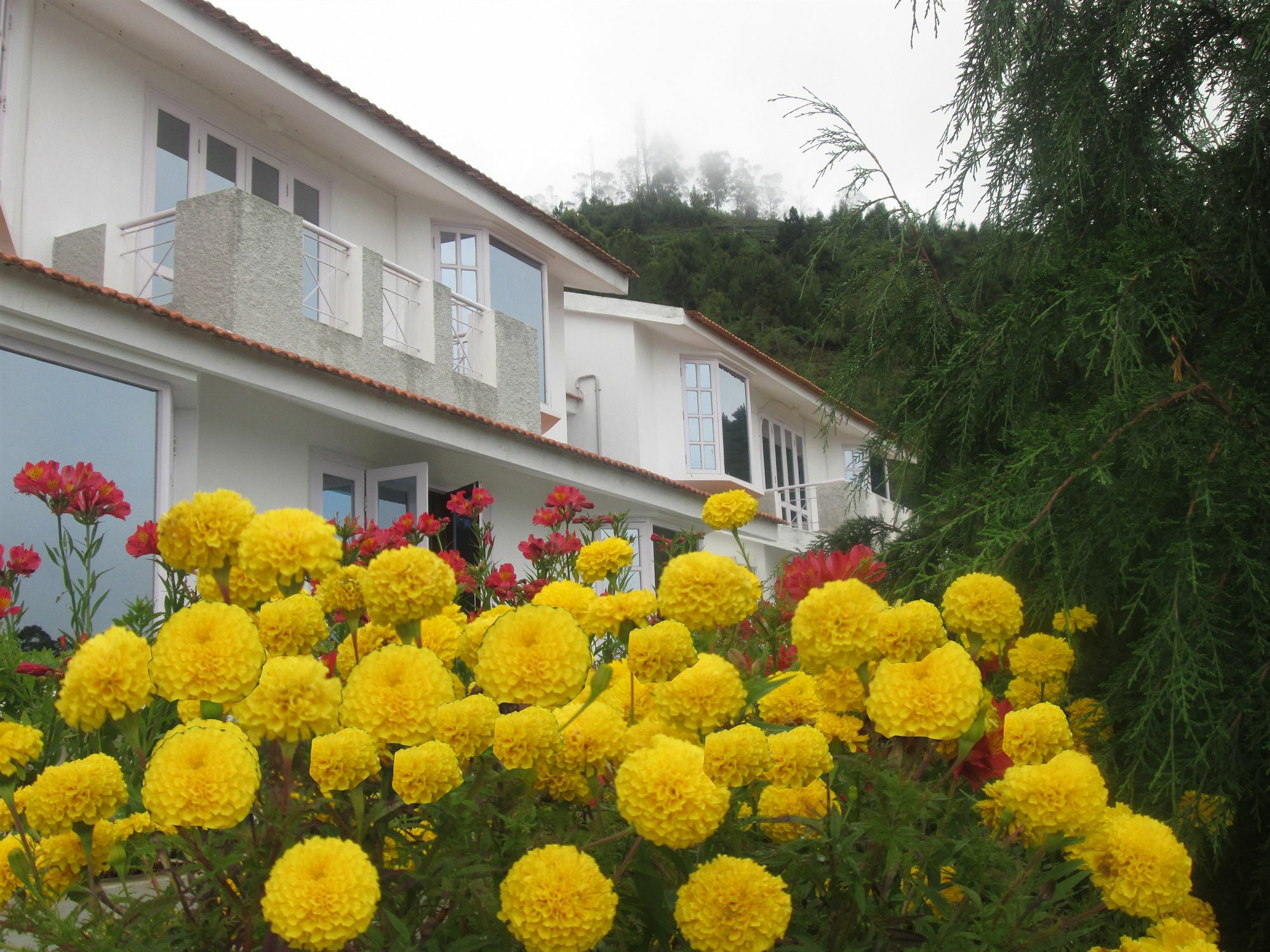 Country Club Valley Vista Tamilnadu - Tamilnadu - Kodaikanal Extérieur photo